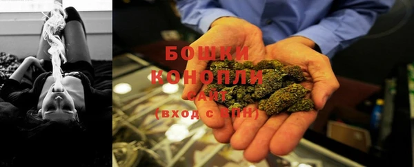 шишки Дмитриев