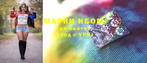 молекула духа Новозыбков