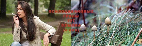 MDMA Няндома
