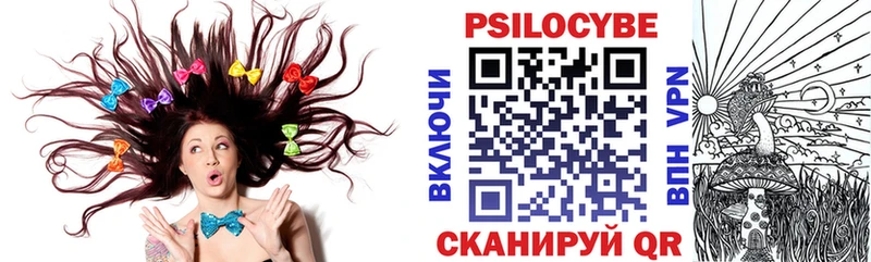 Галлюциногенные грибы Psilocybe  наркотики  Пионерский 